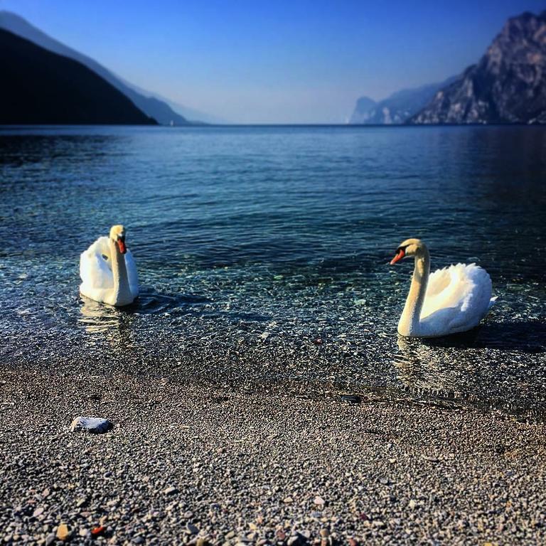 Villa Linfano Torbole Sul Garda Bagian luar foto