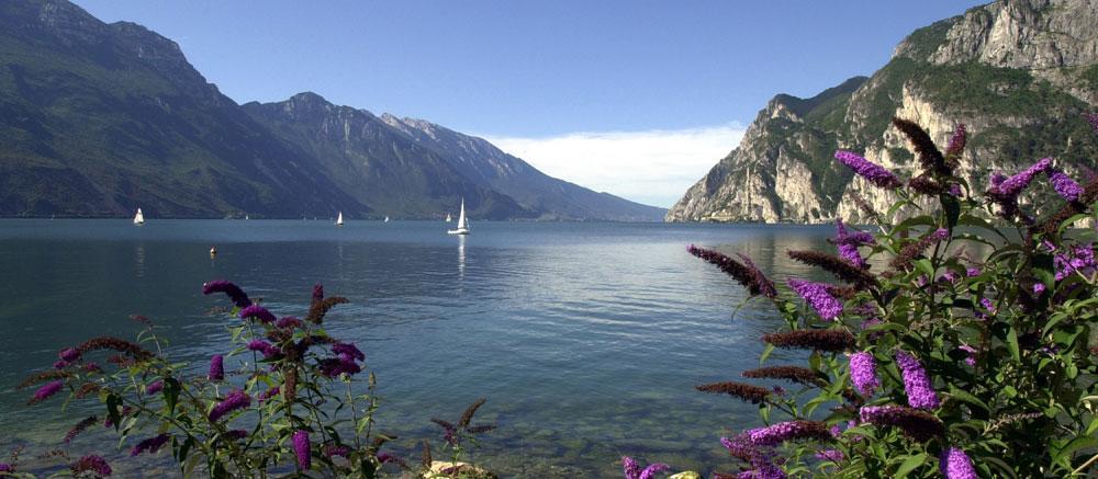 Villa Linfano Torbole Sul Garda Bagian luar foto